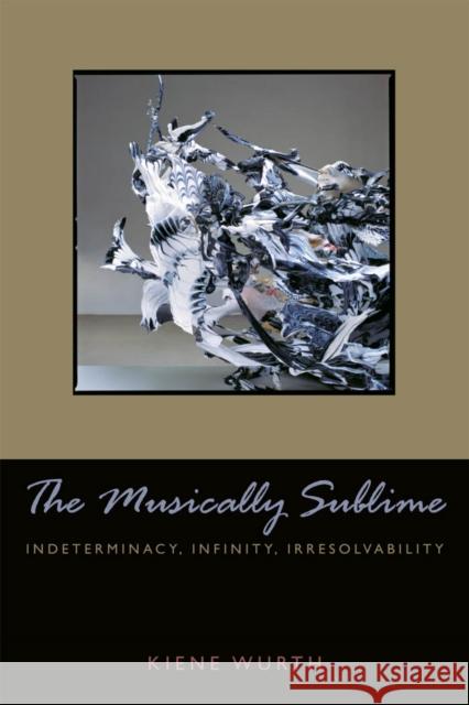 Musically Sublime: Indeterminacy, Infinity, Irresolvability Wurth, Kiene Brillenburg 9780823230631 Fordham University Press