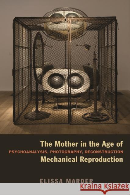 The Mother in the Age of Mechanical Reproduction: Psychoanalysis, Photography, Deconstruction Marder, Elissa 9780823240555