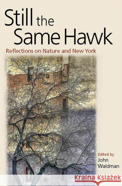 Still the Same Hawk: Reflections on Nature and New York Waldman, John 9780823249893 Fordham University Press