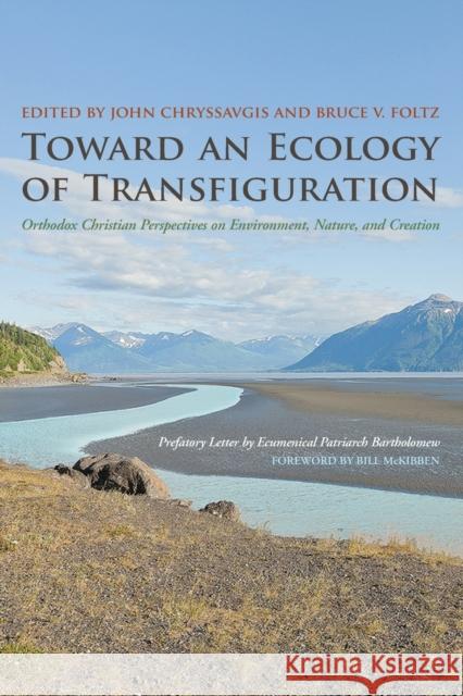 Toward an Ecology of Transfiguration: Orthodox Christian Perspectives on Environment, Nature, and Creation Chryssavgis, John 9780823251452 0