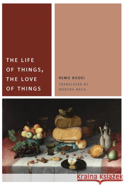 The Life of Things, the Love of Things Remo Bodei Murtha Baca 9780823264421