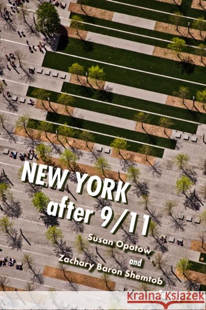 New York After 9/11 Susan Opotow Zachary Baron Shemtob 9780823281275