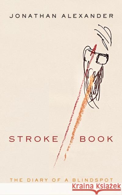 Stroke Book: The Diary of a Blindspot Jonathan Alexander 9780823297665 Fordham University Press