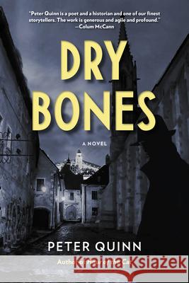 Dry Bones Peter Quinn 9780823297931 Fordham University Press