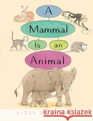 A Mammal Is an Animal Lizzy Rockwell 9780823436705 Holiday House