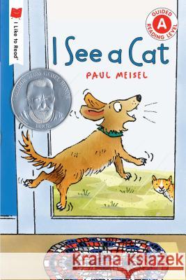 I See a Cat Paul Meisel 9780823438495 Holiday House
