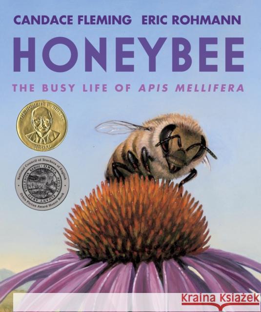 Honeybee: The Busy Life of APIs Mellifera Fleming, Candace 9780823442850