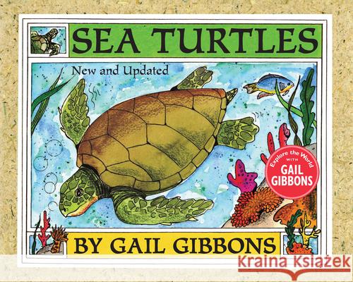 Sea Turtles Gail Gibbons 9780823446957 Holiday House