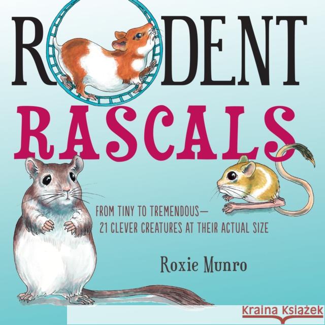 Rodent Rascals: Clever Creatures at their Actual Size Roxie Munro 9780823447381