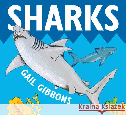 Sharks Gail Gibbons 9780823449699 Holiday House