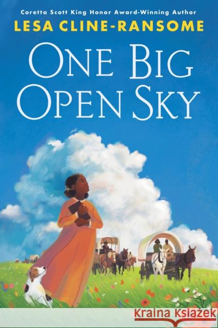 One Big Open Sky Lesa Cline-Ransome 9780823450169 Holiday House