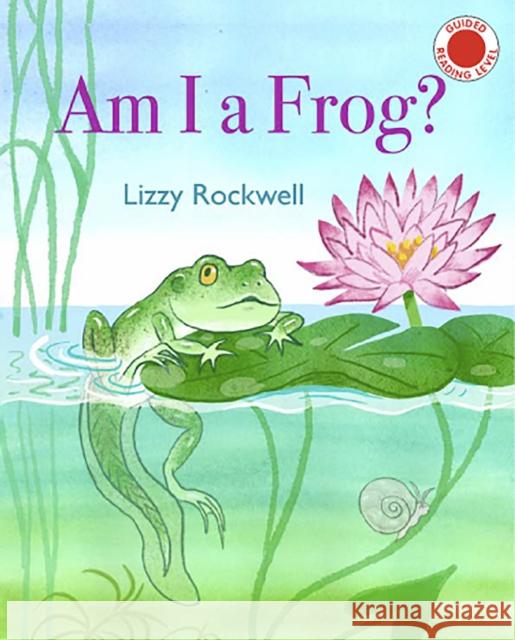 Am I a Frog? Lizzy Rockwell 9780823450787 Holiday House