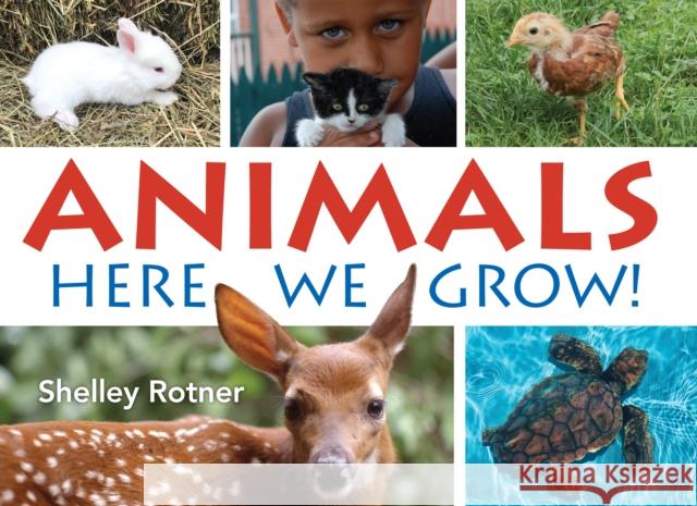 Animals!: Here We Grow Shelley Rotner 9780823451425 Holiday House