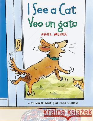 I See a Cat / Veo Un Gato Paul Meisel 9780823454617 Holiday House
