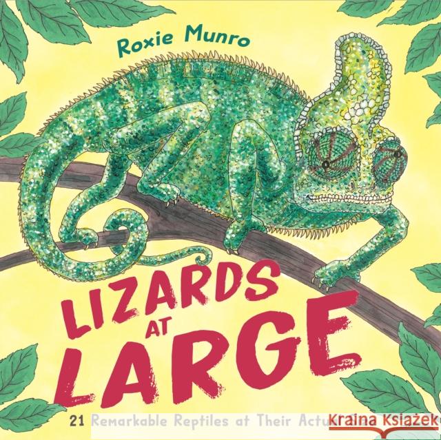 Lizards at Large: 21 Remarkable Reptiles at their Actual Size Roxie Munro 9780823458790