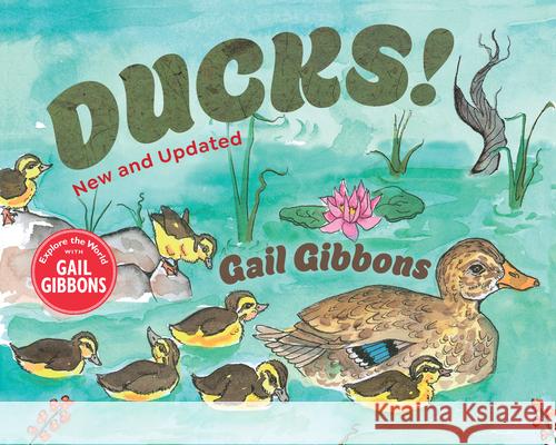 Ducks! (New & Updated) Gail Gibbons 9780823459902 Holiday House