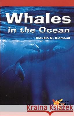 Whales in the Ocean Claudia Diamon 9780823981120 Not Avail
