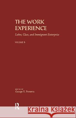 The Work Experience: Labor, Class & Immigrant Enterprise G. Pozzetta Pozzetta George                          George E. Pozzetta 9780824074067 Routledge