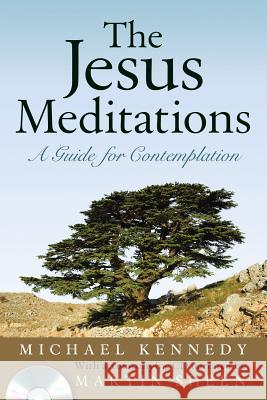 The Jesus Meditations: A Guide for Contemplation Michael Kennedy, Martin Sheen 9780824519292 Crossroad Publishing Co ,U.S.