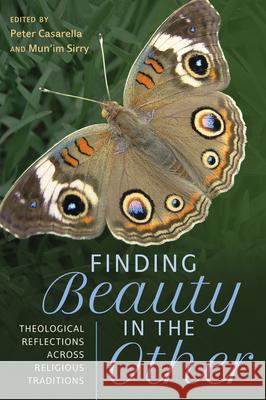 Finding Beauty in the Other: Theological Reflections across Religious Traditions Peter Casarella, Sirry  Mun'im 9780824523367