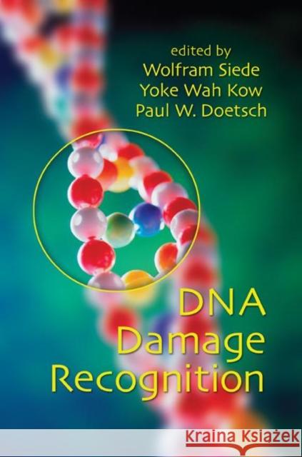 DNA Damage Recognition Wolfram Siede Yoke Wah Kow Paul W. Doetsch 9780824759612