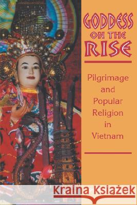 Goddess on the Rise: Pilgrimage and Popular Religion in Vietnam Philip Taylor 9780824828011 University of Hawaii Press