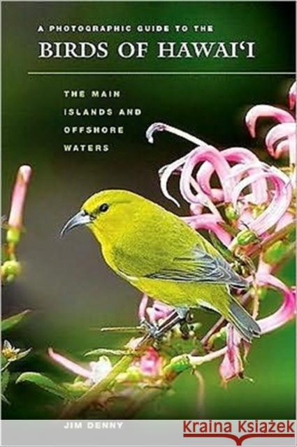 A Photographic Guide to the Birds of Hawai'i: The Main Islands and Offshore Waters Denny, Jim 9780824833831 University of Hawaii Press
