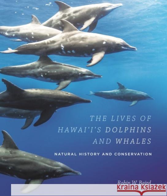 The Lives of Hawai'i's Dolphins and Whales: Natural History and Conservation Robin W. Baird 9780824859985 University of Hawaii Press
