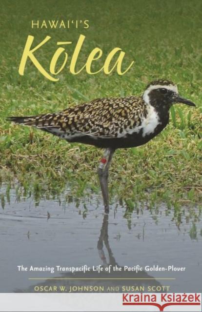 Hawai'i's Kōlea: The Amazing Transpacific Life of the Pacific Golden-Plover Johnson, Oscar W. 9780824866969 University of Hawaii Press