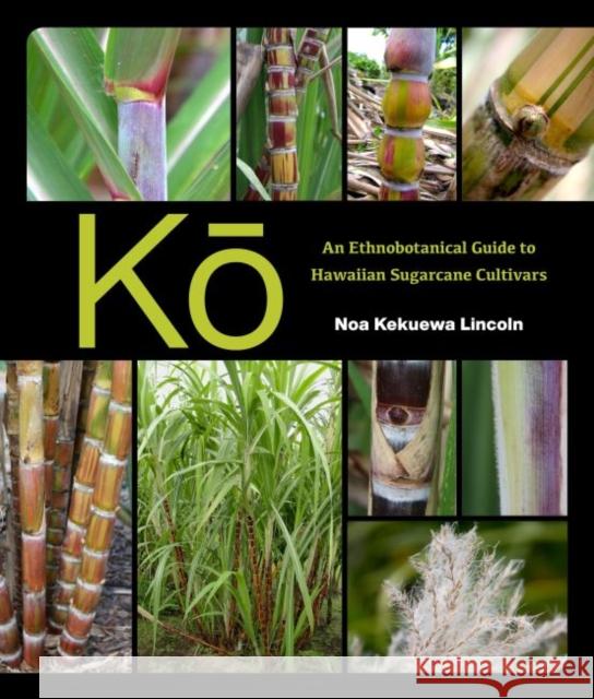 Kō: An Ethnobotanical Guide to Hawaiian Sugarcane Cultivars Lincoln, Noa Kekuewa 9780824873363 University of Hawaii Press
