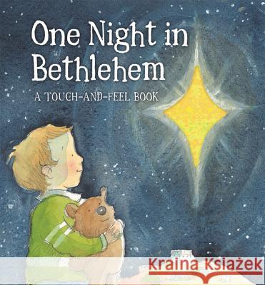 One Night in Bethlehem MS Jill Roman Lord 9780824918637