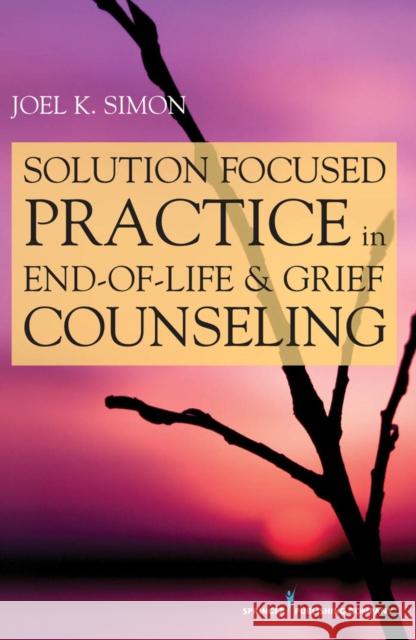 Solution Focused Practice in End-Of-Life and Grief Counseling Simon, Joel 9780826105790 Springer Publishing Company