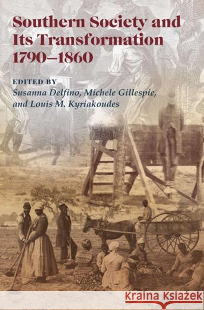 Southern Society and Its Transformations 1790-1860 Delfino, Susanna 9780826219183 University of Missouri Press