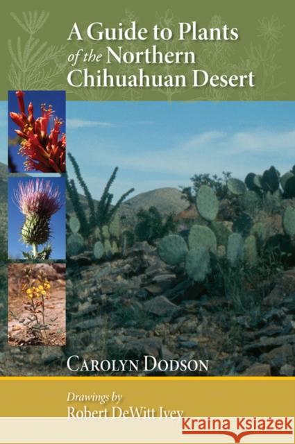 A Guide to Plants of the Northern Chihuahuan Desert Carolyn Dodson Robert DeWitt Ivey  9780826350213