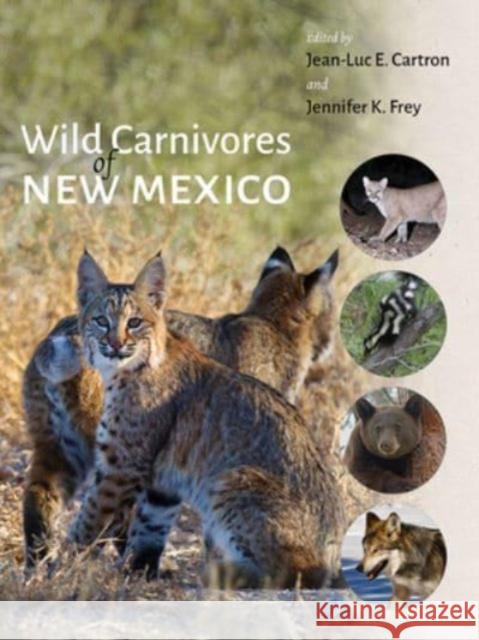 Wild Carnivores of New Mexico  9780826351517 University of New Mexico Press