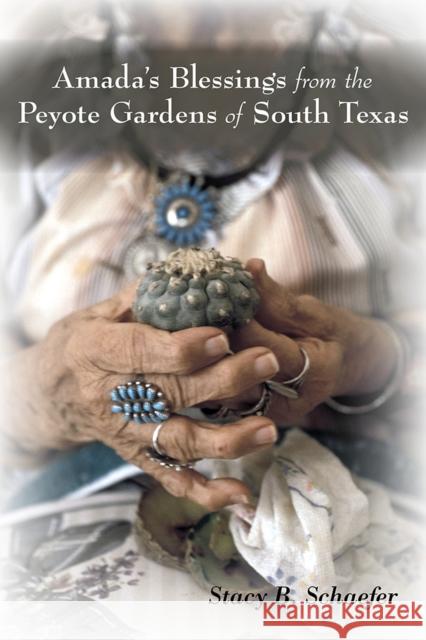 Amada's Blessings from the Peyote Gardens of South Texas Stacy B. Schaefer 9780826356215 University of New Mexico Press