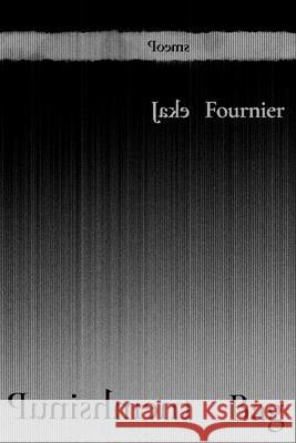 Punishment Bag: Poems Jake Fournier 9780826369222 Unm Press