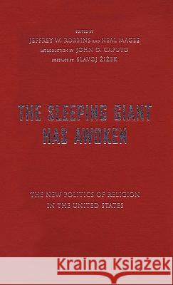 Sleeping Giant Has Awoken: The New Politics of Religion in the United States Robbins, Jeffrey W. 9780826429681