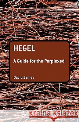 Hegel: A Guide for the Perplexed James, David 9780826485373 0