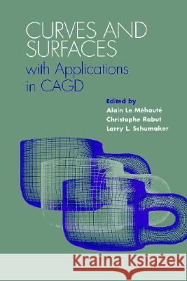 Curves and Surfaces with Applications in Cagd: Latino Caribbean Literature Written in the United States Alain L Larry L. Schumaker Christophe Rabut 9780826512932