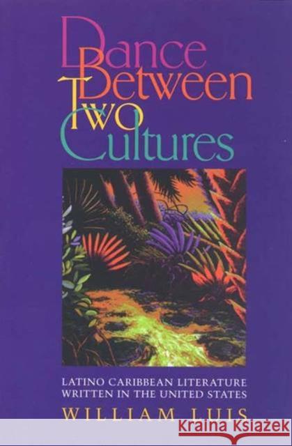 A Dance Between Two Cultures: Stories of Living with Diabetes Luis, William 9780826513021