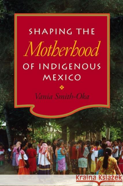 Shaping the Motherhood of Indigenous Mexico Vania Smith-Oka 9780826519177