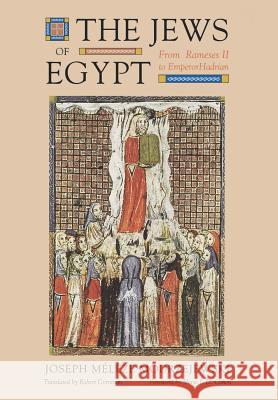 The Jews of Egypt: From Ramses II to Emperor Hadrian Modrzejewski, Joseph M. 9780827605220 JEWISH PUBLICATION SOCIETY