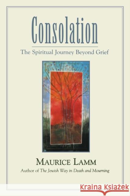 Consolation: The Spiritual Journey Beyond Grief Lamm, Maurice 9780827608153 Jewish Publication Society of America