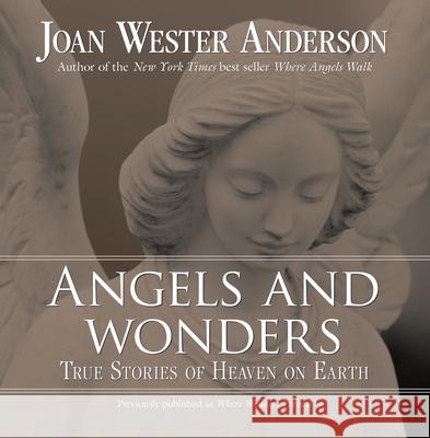 Angels and Wonders: True Stories of Heaven on Earth Joan W. Anderson 9780829427332 Loyola Press