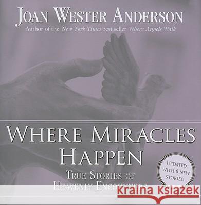 Where Miracles Happen: True Stories of Heavenly Encounters Joan Wester Anderson 9780829429039