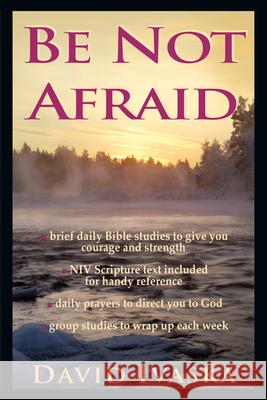 Be Not Afraid David Ivaska 9780830811861 InterVarsity Press