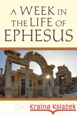 A Week in the Life of Ephesus David A. deSilva 9780830824854 IVP Academic