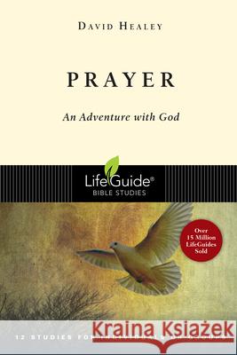 Prayer: An Adventure with God David Healey 9780830830534