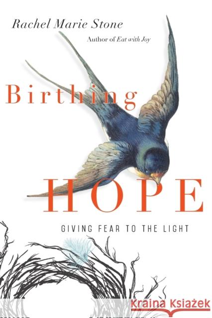 Birthing Hope: Giving Fear to the Light Rachel Marie Stone 9780830845330 IVP Books
